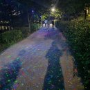 🌟밤이 빛나는 수원, 만석거 새빛축제 2025! 세계관개시설물유산에서 낭만 가득 여름밤을🎆