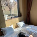 피비알세븐(PBr7)호텔 이미지