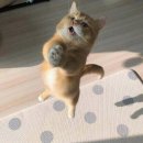 미화스토리