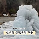 이마트24 동구 동산점 | 대전 놀거리 상소동 산림욕장 얼음동산, 겨울 눈썰매장