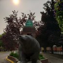 [캐나다 여행] 길을 걷다 곰🐻을 만난다면? - 마운틴바이크, 설산스키로 유명한 여행지 Revelstoke