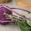 콜라비 효능 부작용 영양성분 콜라비 칼로리 이미지