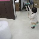 16M, 사무실에 들른 예담 , 체험단 발표