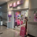 따뜻한 말 한 마디 | 세종 나성동, 힙+맛+귀여움 정복기 (오소리파이클럽, 세이하이스튜디오, 명품춘천닭갈비 후기)