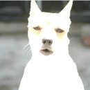 찾음 이미지