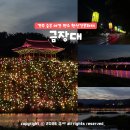 대주미디어 | 경주 여름 놀러 갈만한 곳 금장대 산책 코스 경주 숨은 야경 명소 시간 주차장 안내