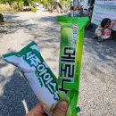 경북 청도 아이고 I go 캠핑장 노키즈존 오토캠핑장 후기