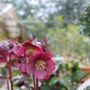 고양대로1432번길 이미지