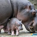 하마농장 이미지