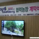 백상기농장 이미지