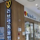 참 동물병원 | 영등포 동물병원 건강검진 후기 / 러브펫 동물병원