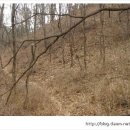 흑석동산성 이미지