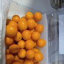 청포도한의원 이미지