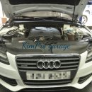 애니카랜드 황금점 이미지