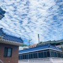 씨유 제주하천점 | [0604 금] 불금! 벗 난 불금아녀..그냥 평화로운 금욜,,날씨 짱좋아서 기분도 좋아☀️💚 오늘 먹은것도 기록✍!