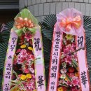 고려인삼영농조합쎈타 - 11510 | 고려인삼영농조합쎈타