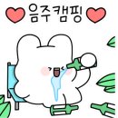 오색장군바위캠핑장 이미지
