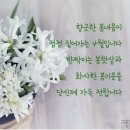 시랑 이미지