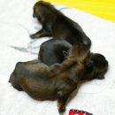 안녕, 애기 이미지