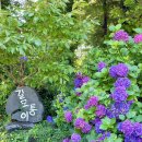 동광리-9 이미지