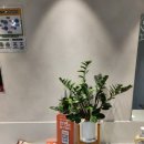 광교PT헬스 온워드짐 2호점 광교헬스장 혼자서도 잘하도록 도와주는 곳