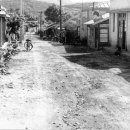 화양초등학교 앞 이미지