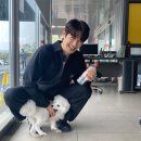 행복한댕댕이 이미지