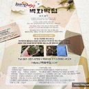 백화떡집