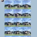 공간 | 청주 오송 세종 공간대여 데이드림 후기