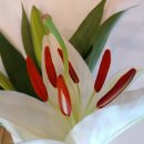 백합세탁소 이미지