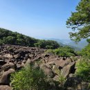 강쥐 | 밀양 만어사 여행 후기(강쥐사진 있어요), (달구돼지국밥, 영남루)