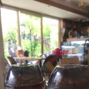카페레인보우 - 서초구 강남대로8길 16-17 | 카페레인보우