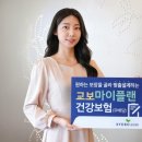쏙쏙 이미지