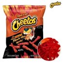 외국인 영어책 리딩반 Level2 | Sydney!