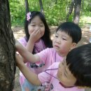 미도유치원 이미지