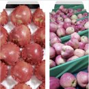 김정기농장 이미지