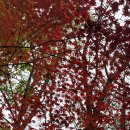 서봉산 산림욕장 2 | 화성 향남 서봉산 약 1시간 간단하게 등산한 후기