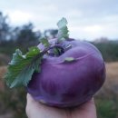 삼미농장 이미지