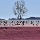 신소양체육공원화장실(주차장) 이미지