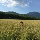논밭 이미지