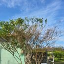 과반농장 이미지