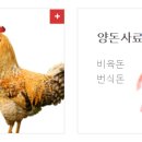 현대사료 주식회사 이미지