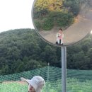 에버어뮤즈 이미지