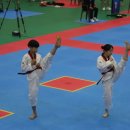 강철 학운 태권도 이미지