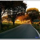 흥덕1번지공인중개사사무소 이미지