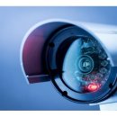 나이스씨씨 이미지