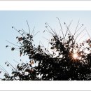 백마공원 이미지