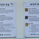 유량골버섯만두전골 이미지