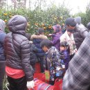 김필환농장 이미지