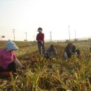 양현모농장 이미지